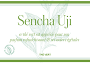 Sencha Uji