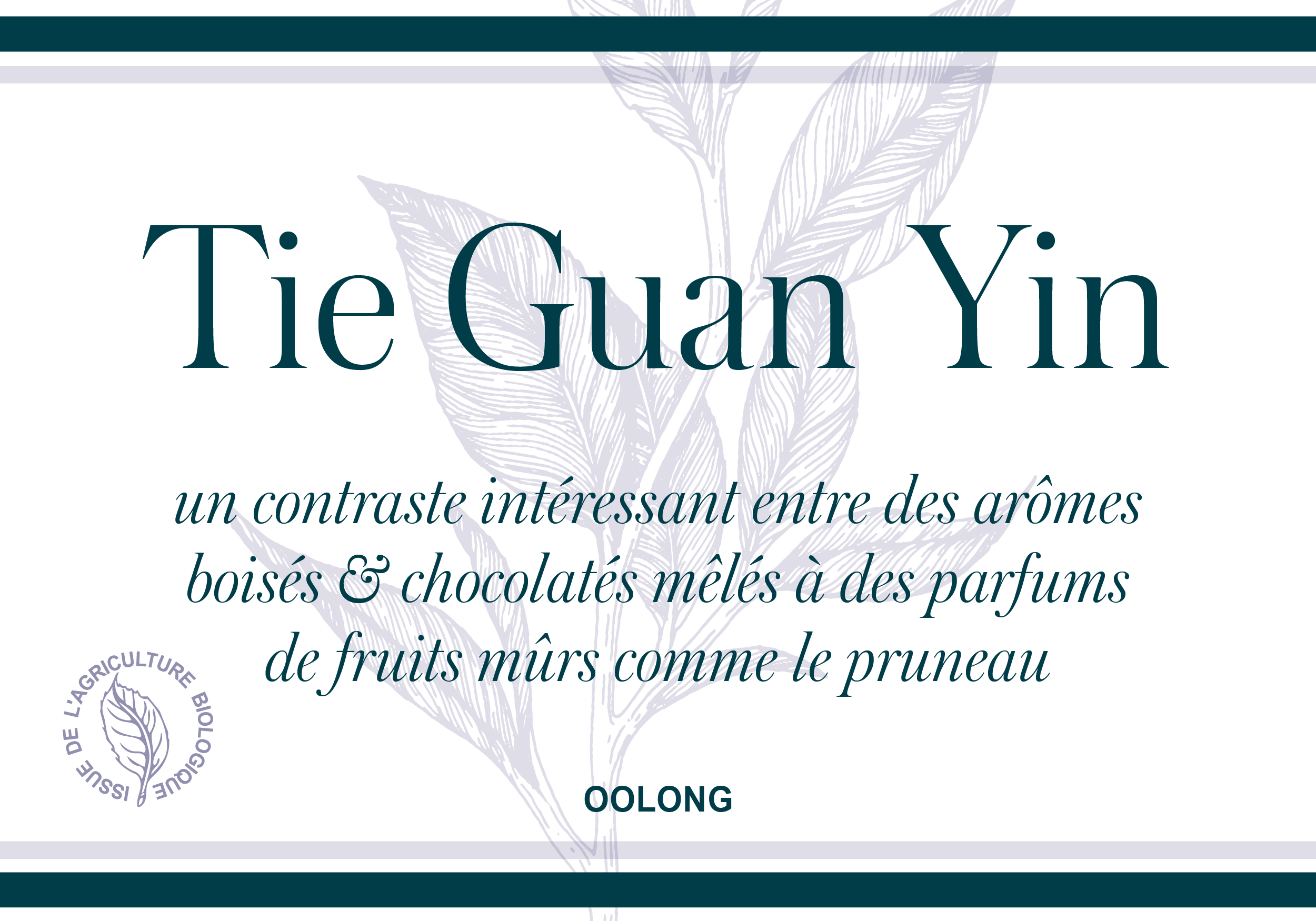 Tie Guan Yin