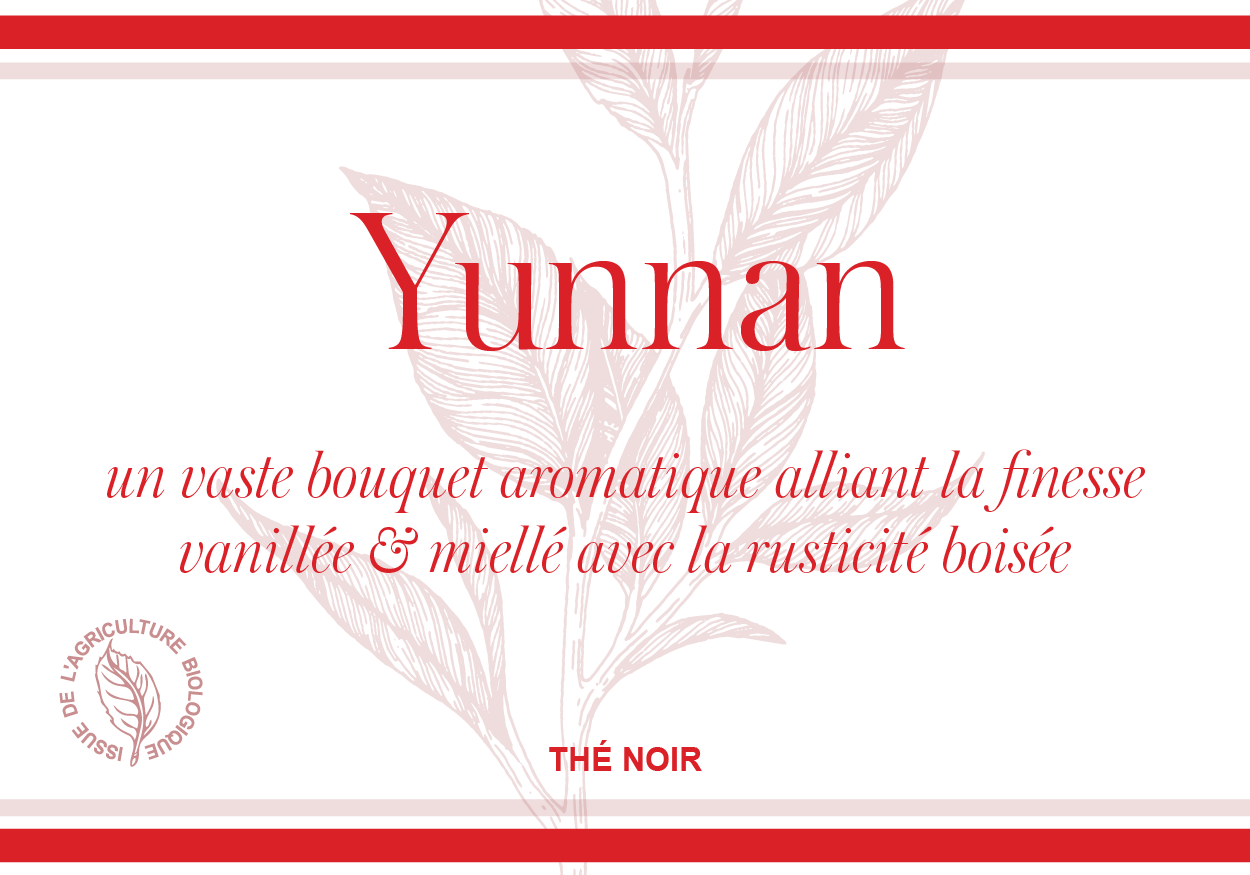 Yunnan Noir